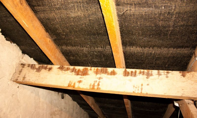 Building Repair Service in Denver County, CO