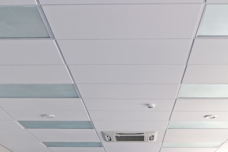 Ceiling Removal Service in Littleton, CO